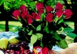 Aroma kolekce - Růže 1000 d.