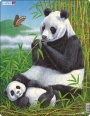 Panda s mládětem