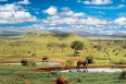 Národní park Tsavo West, Keňa